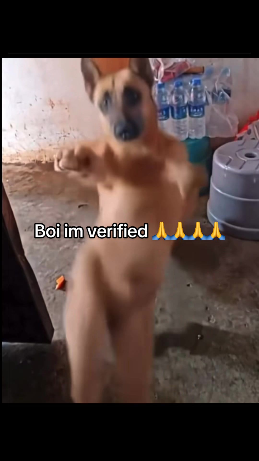 @Sneakygolem5