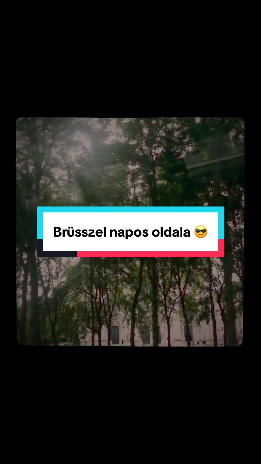 @Viktor a TikTokon