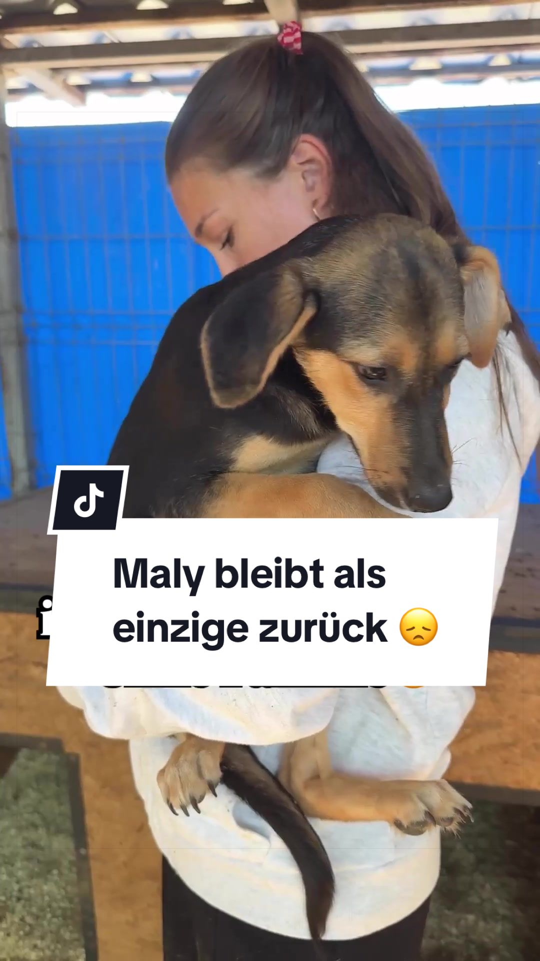 @Ein Herz für Streuner e.V.
