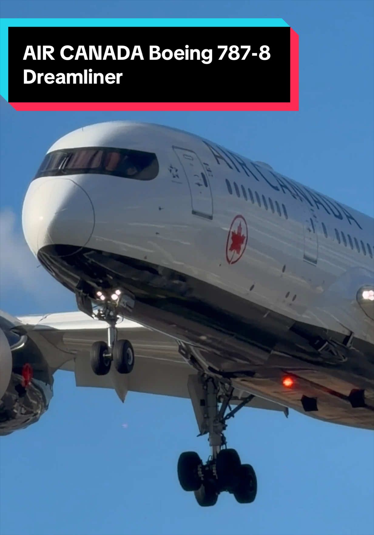 @AVIATION_YYZ_SPOTTER