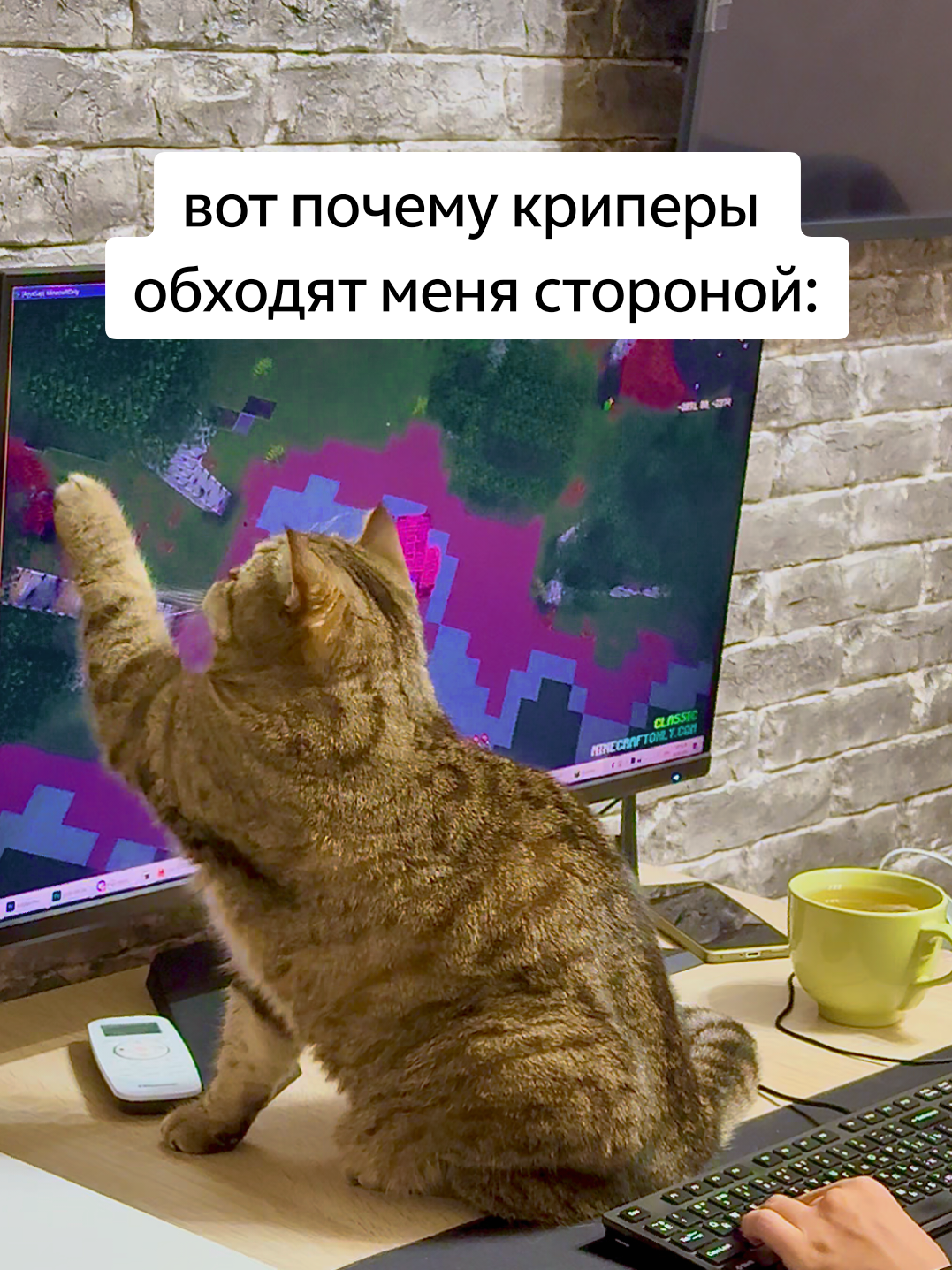 @Мурзик ТяН
