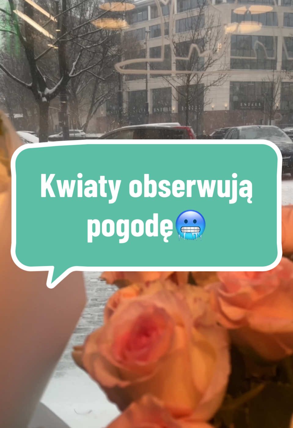 @StarFlowers