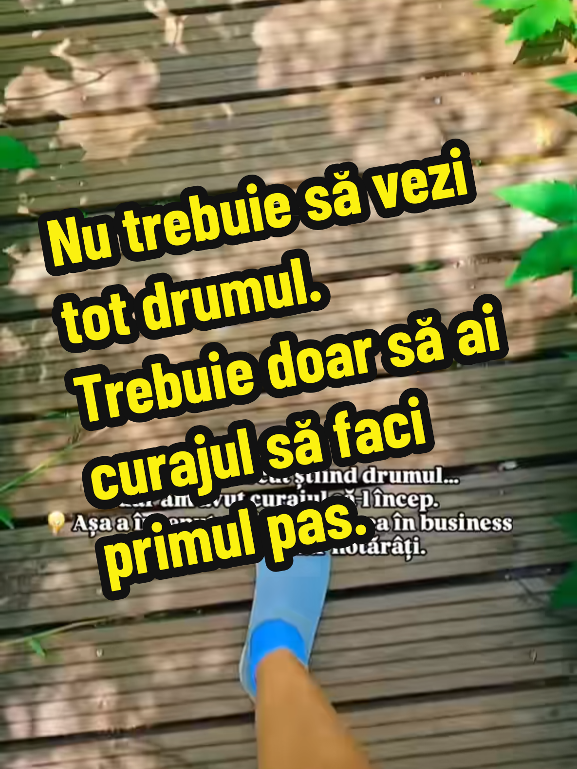 @&hearts;️Mihaela Denardin💚