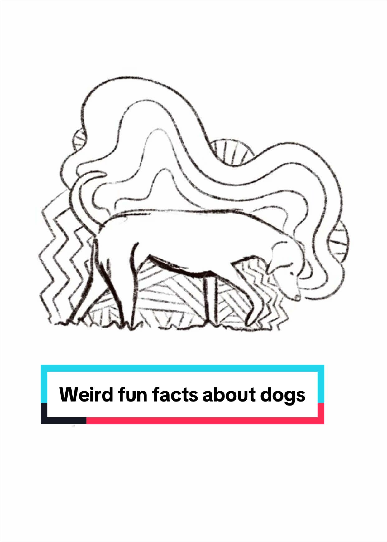 @illustration explains