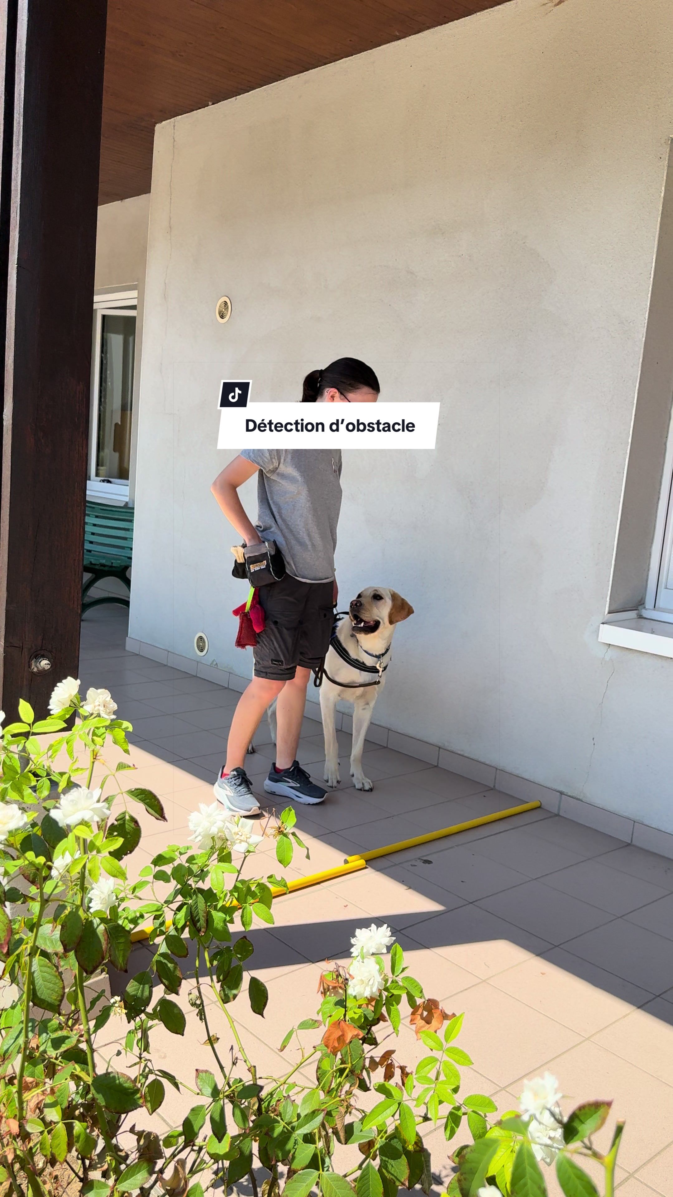 @Chiens Guides de l&rsquo;Est