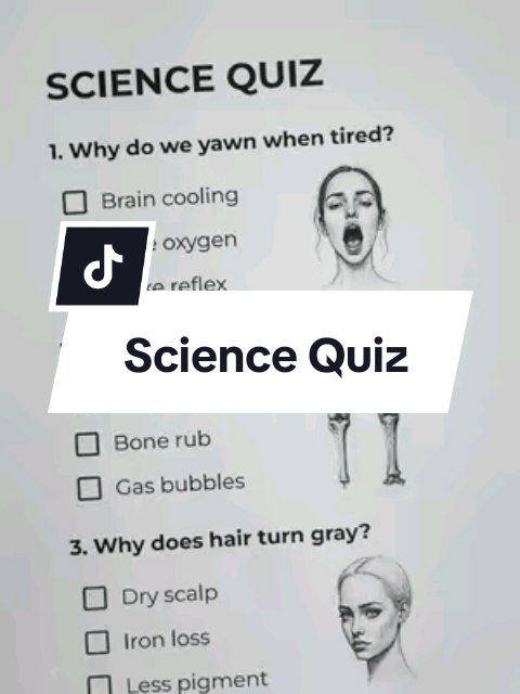 @Quizensky&rsquo;s Brain Gym