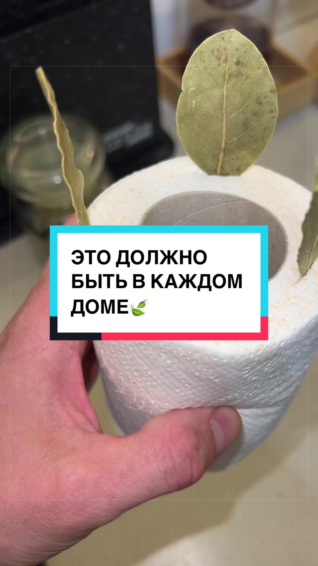 @laifhak_mozgi
