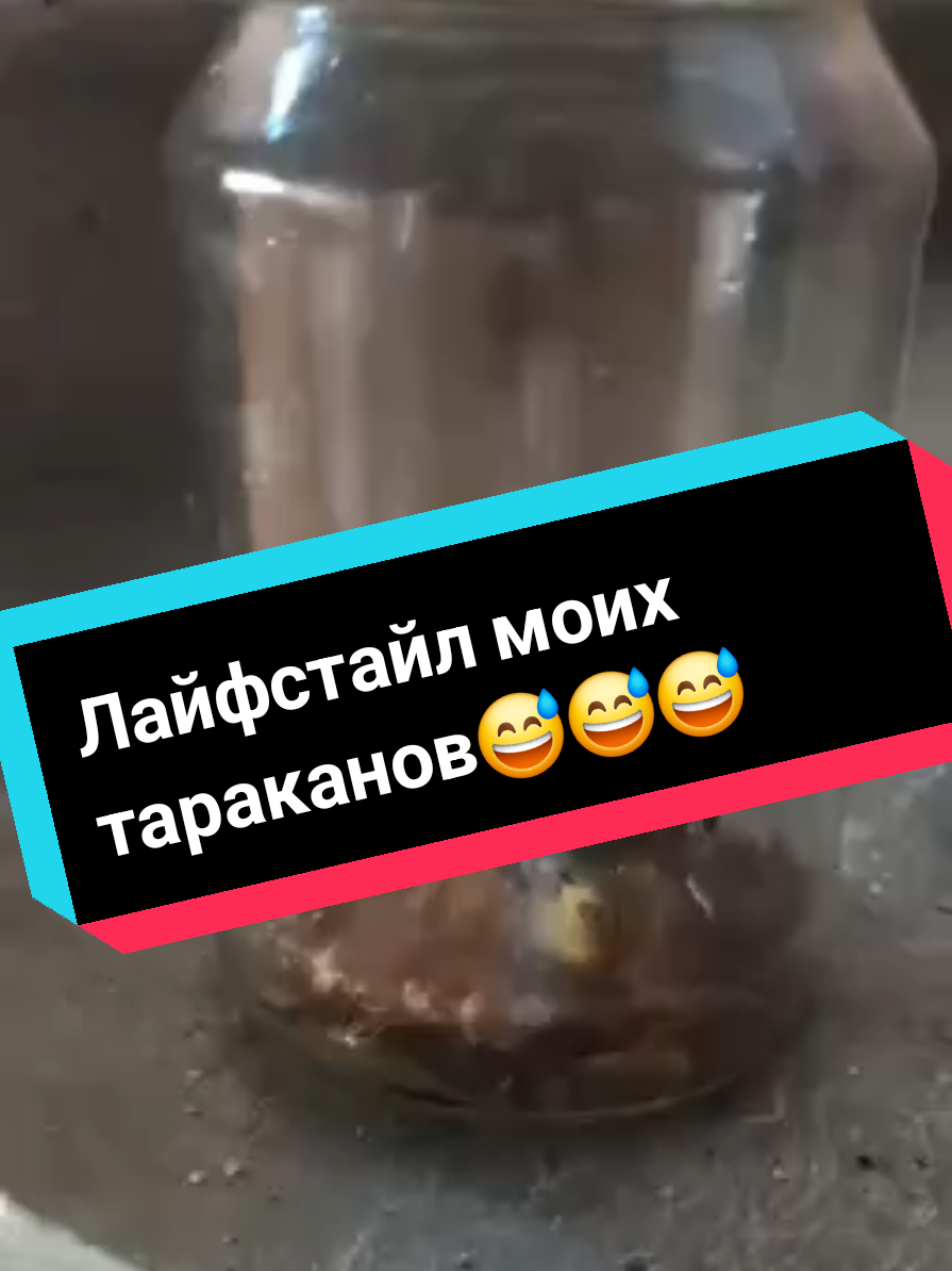 @Յbаլlo Zaֆрїй
