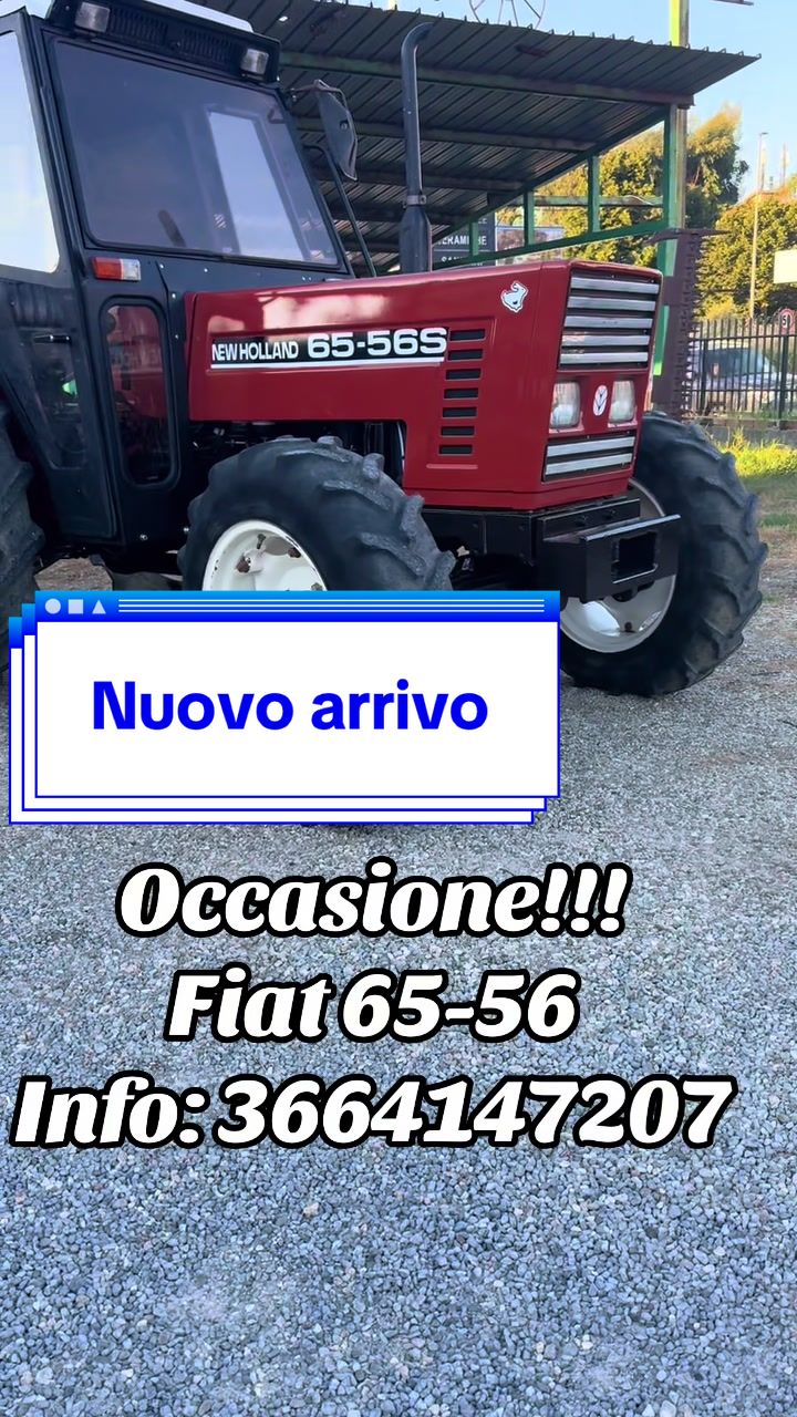 @Luigi Loschiavo