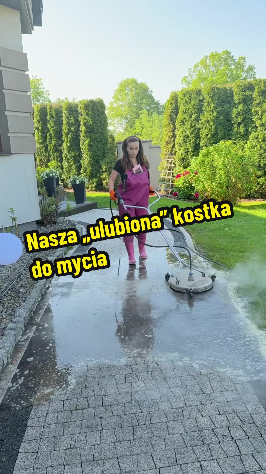 @wilkdomymyje