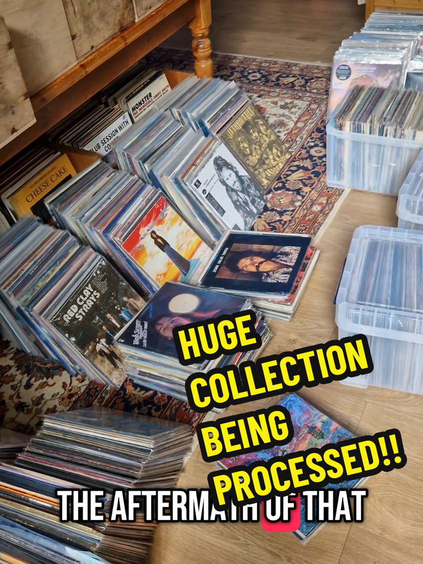 @Vinyl Shakedown Records
