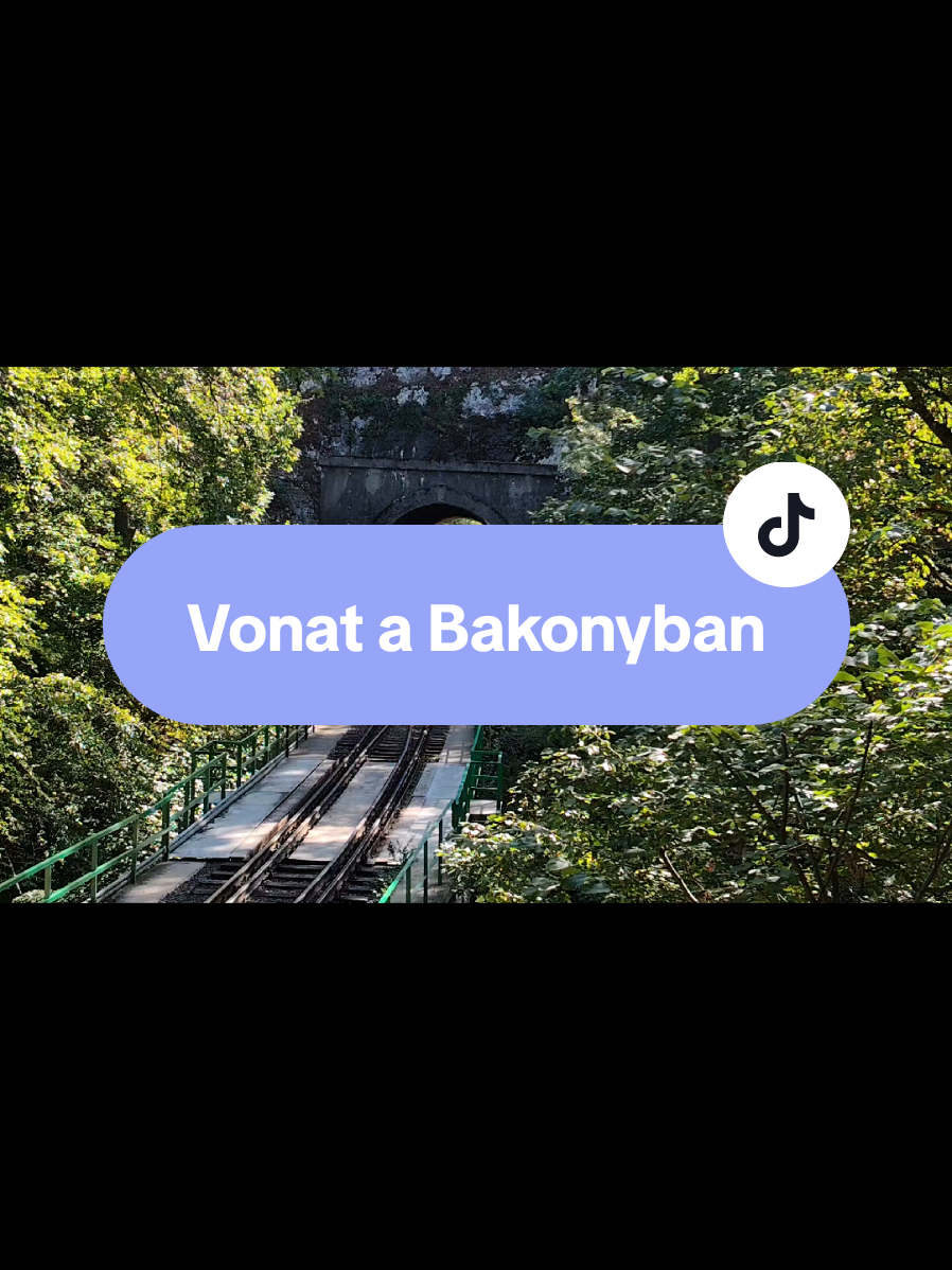 @PTF - Public Transport Fan
