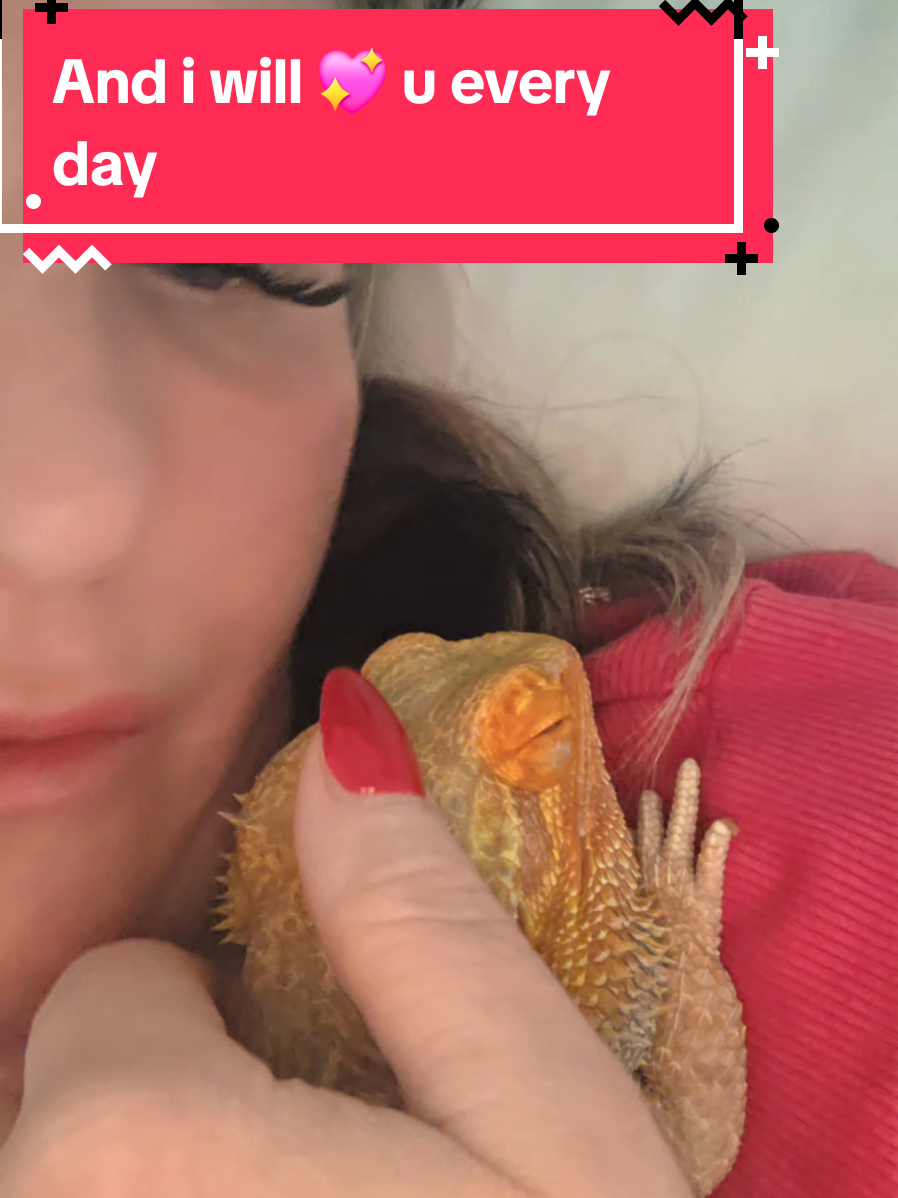@🌹🥀🦂 🇹 🇦 🇳 🦂🥀🌹