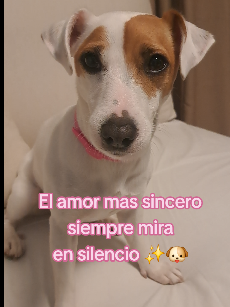 @M&iacute;a