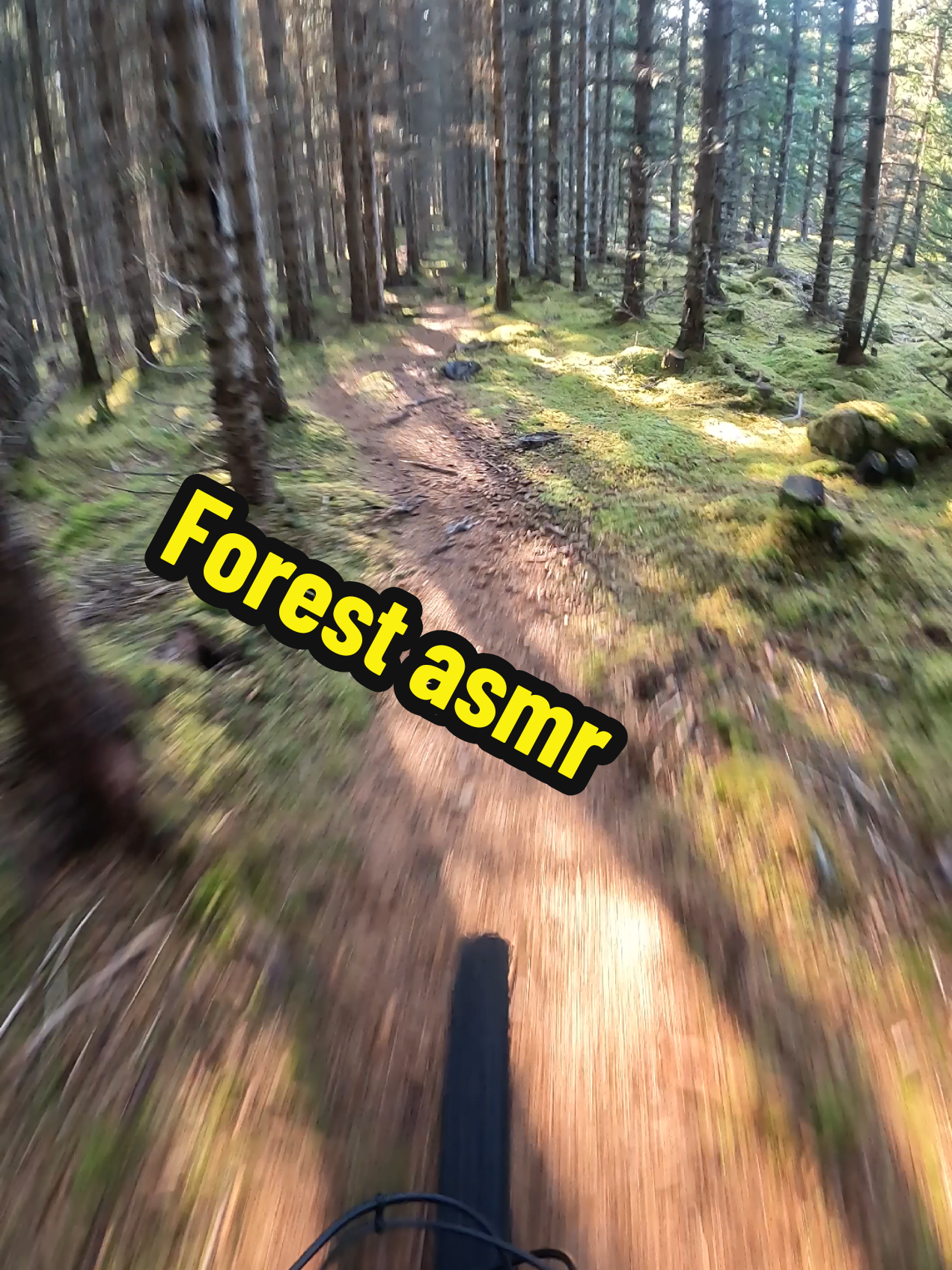 @That MTB guy