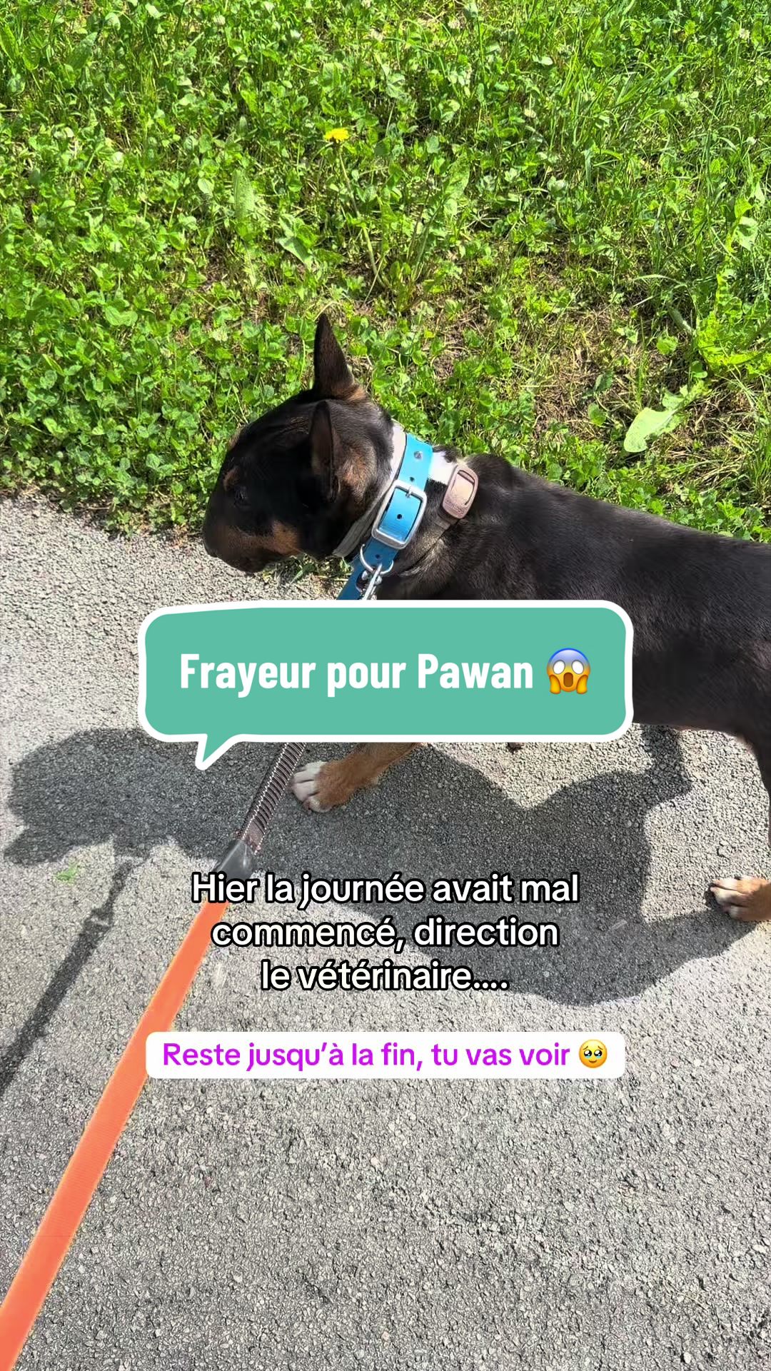 @Mathilde & ses animaux🌼