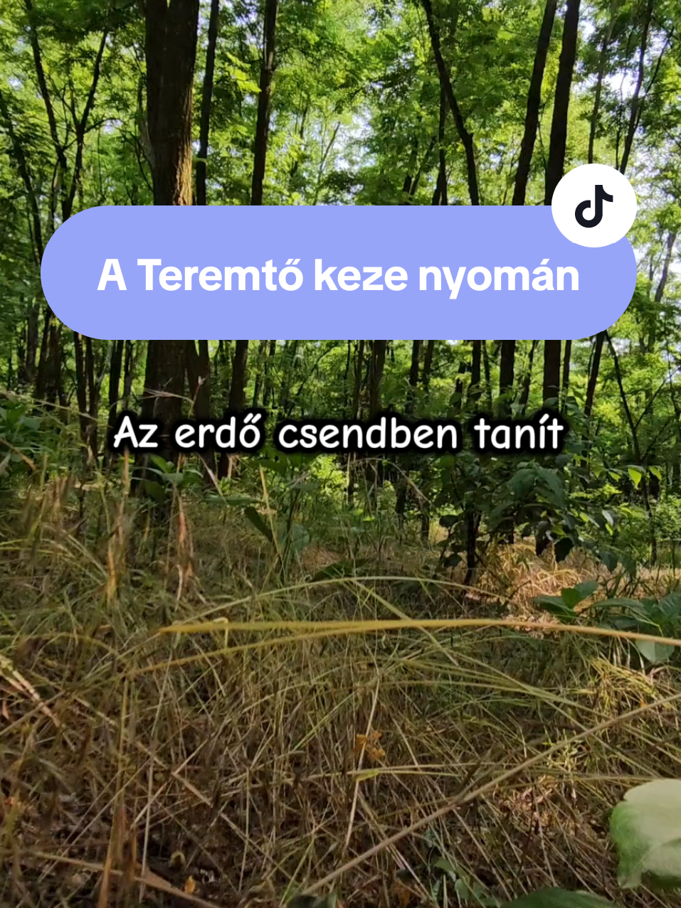 @👑Béla👑