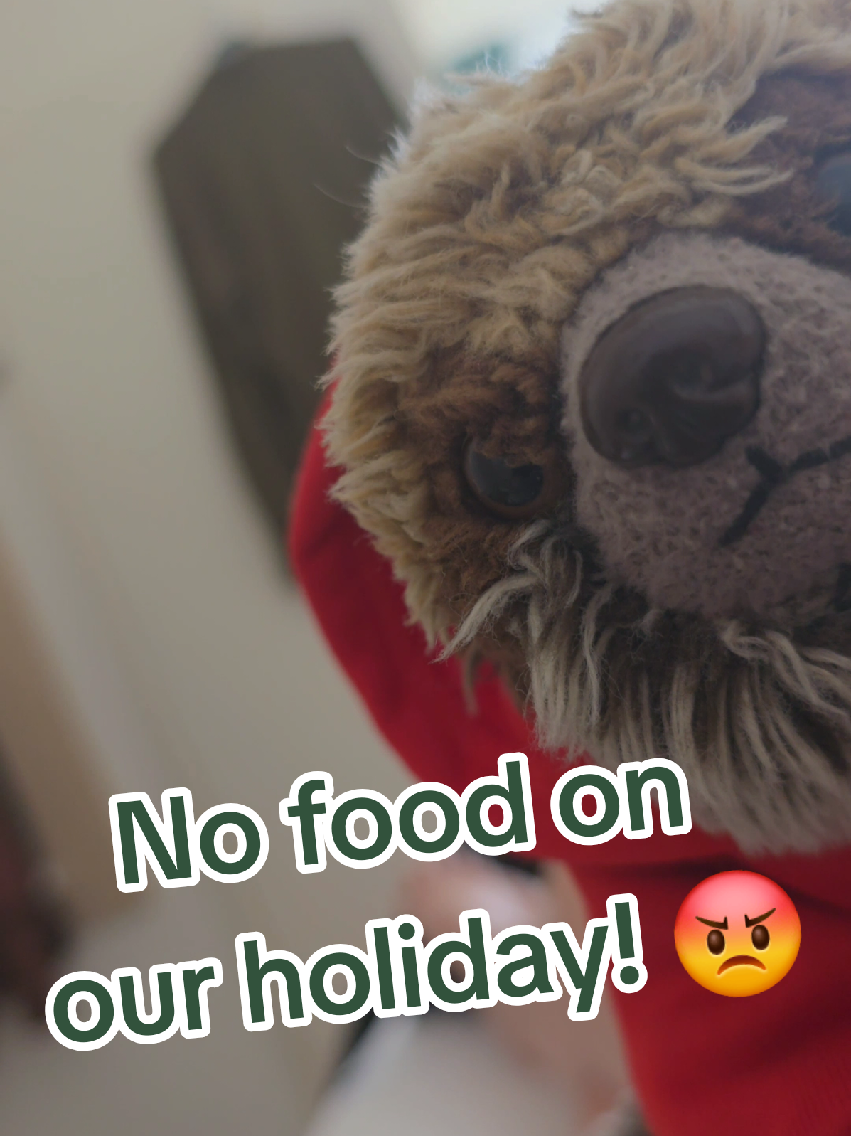 @The Plushie Fam