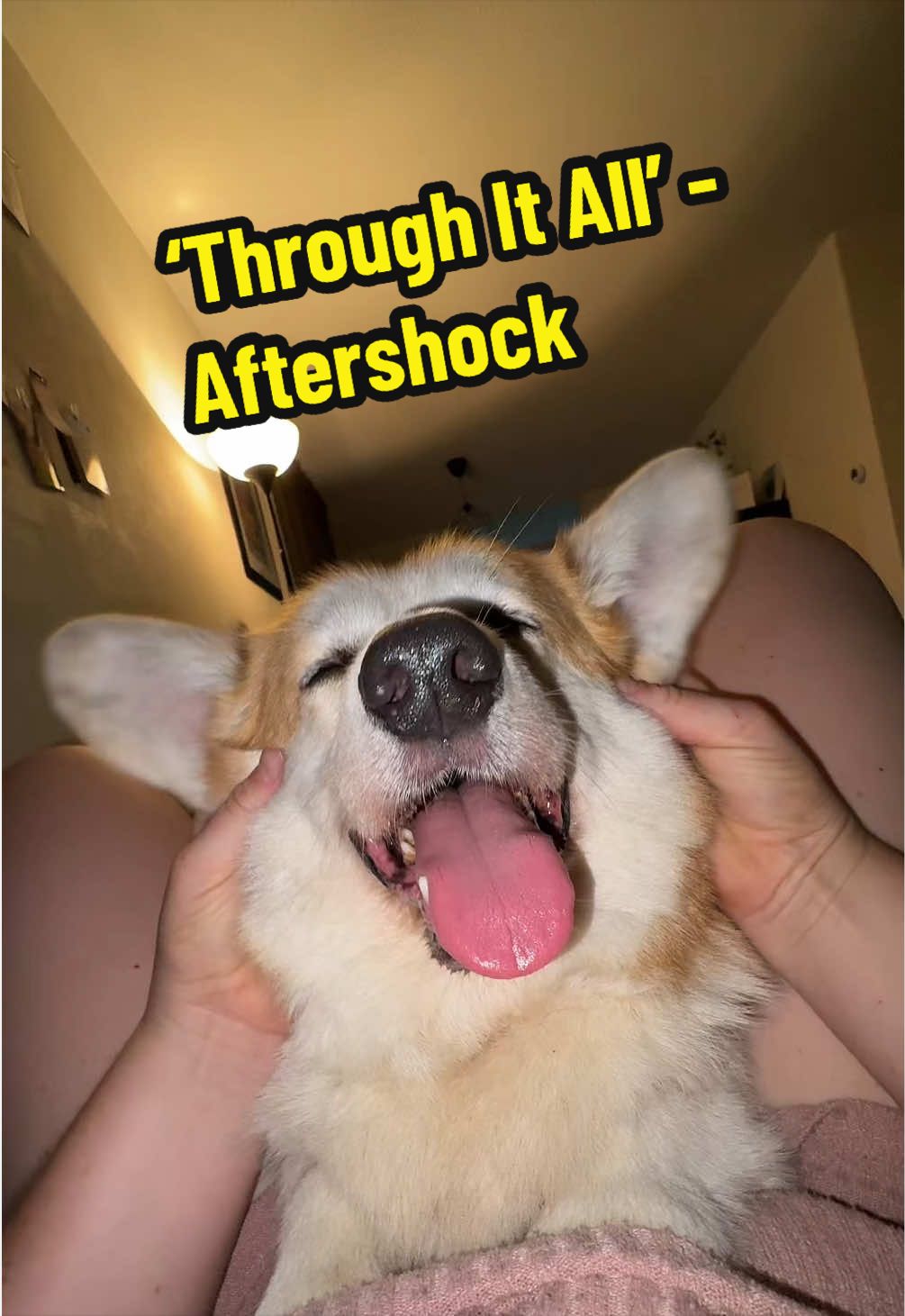 @Kickroll Corgi Charlie ๐ถ๐