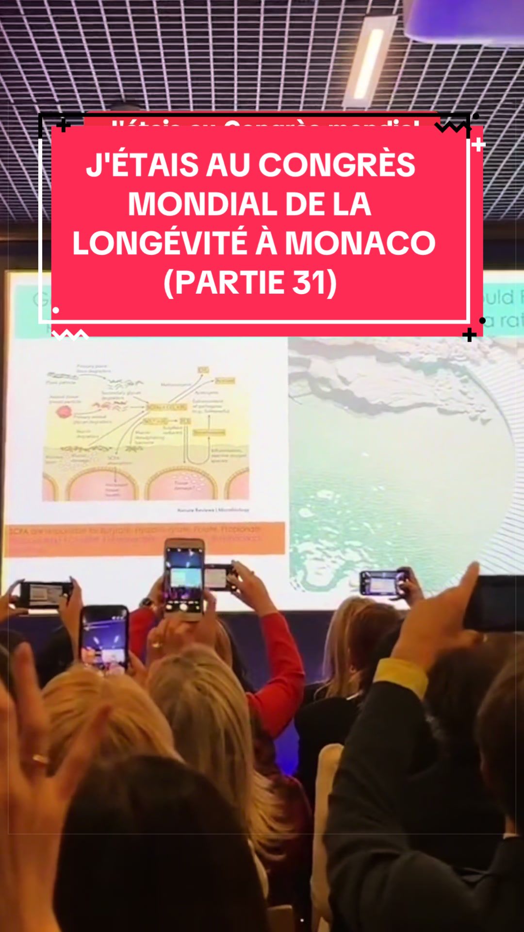 @Louis Selfmade