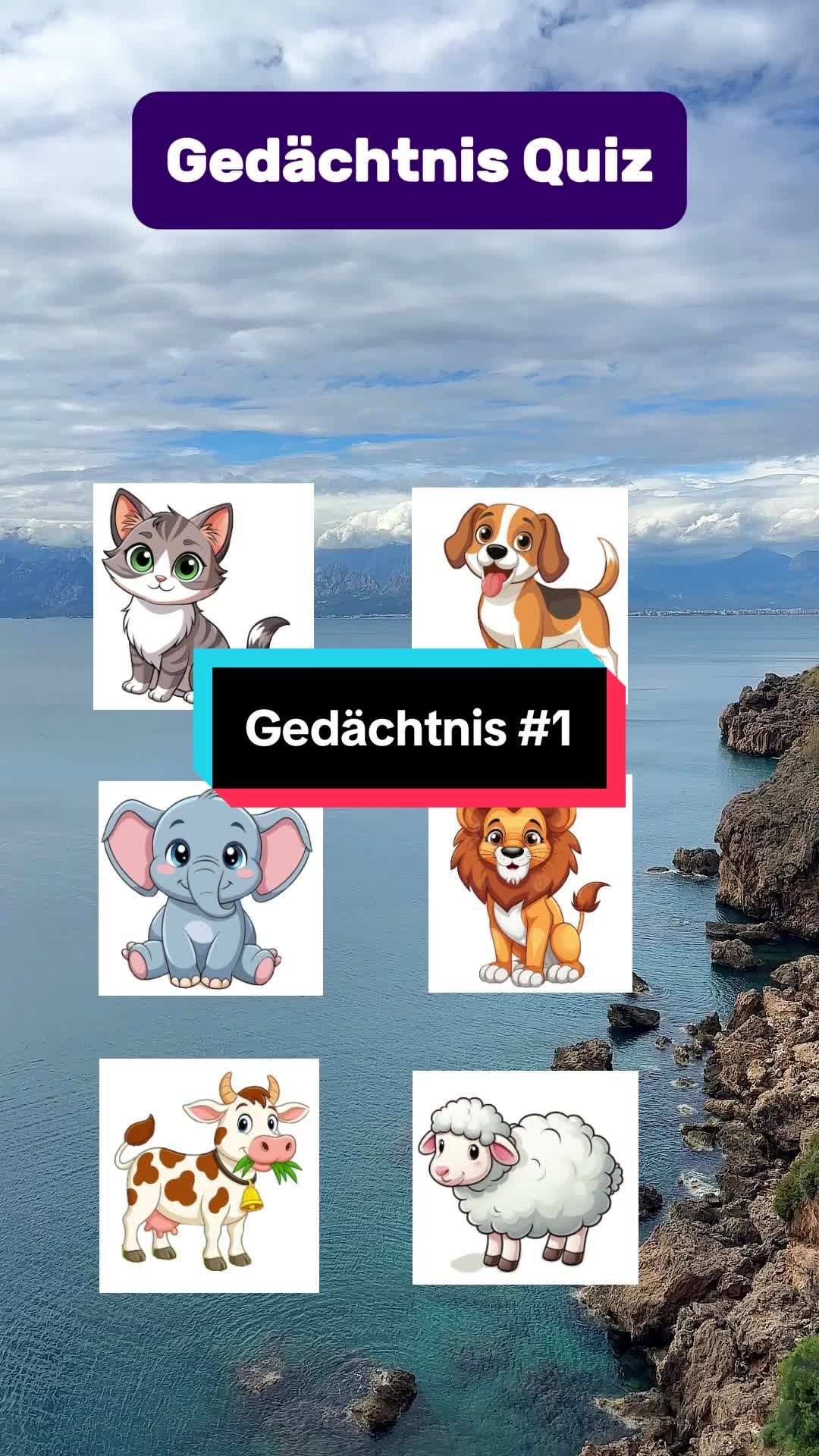 @QuizBoss