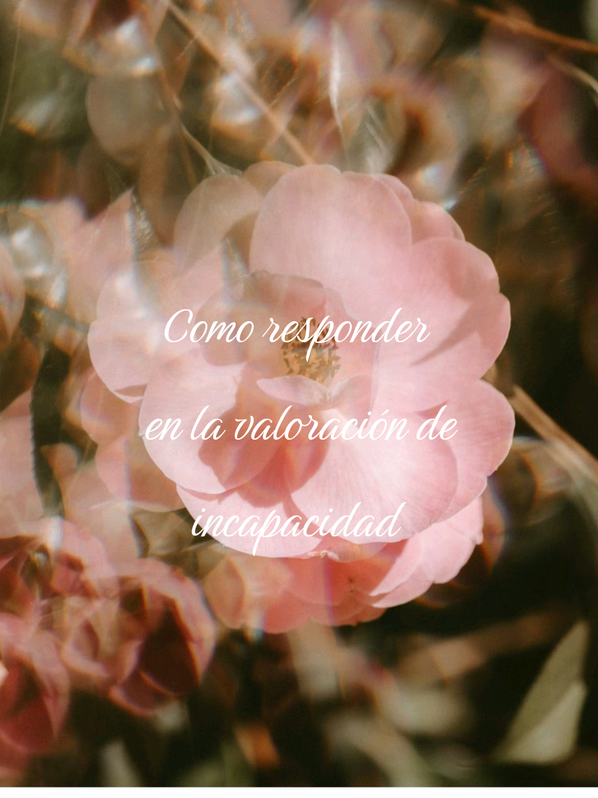 @✨️Cristina
