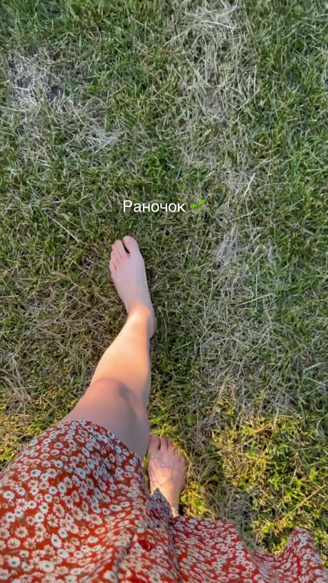 @natali_recipies