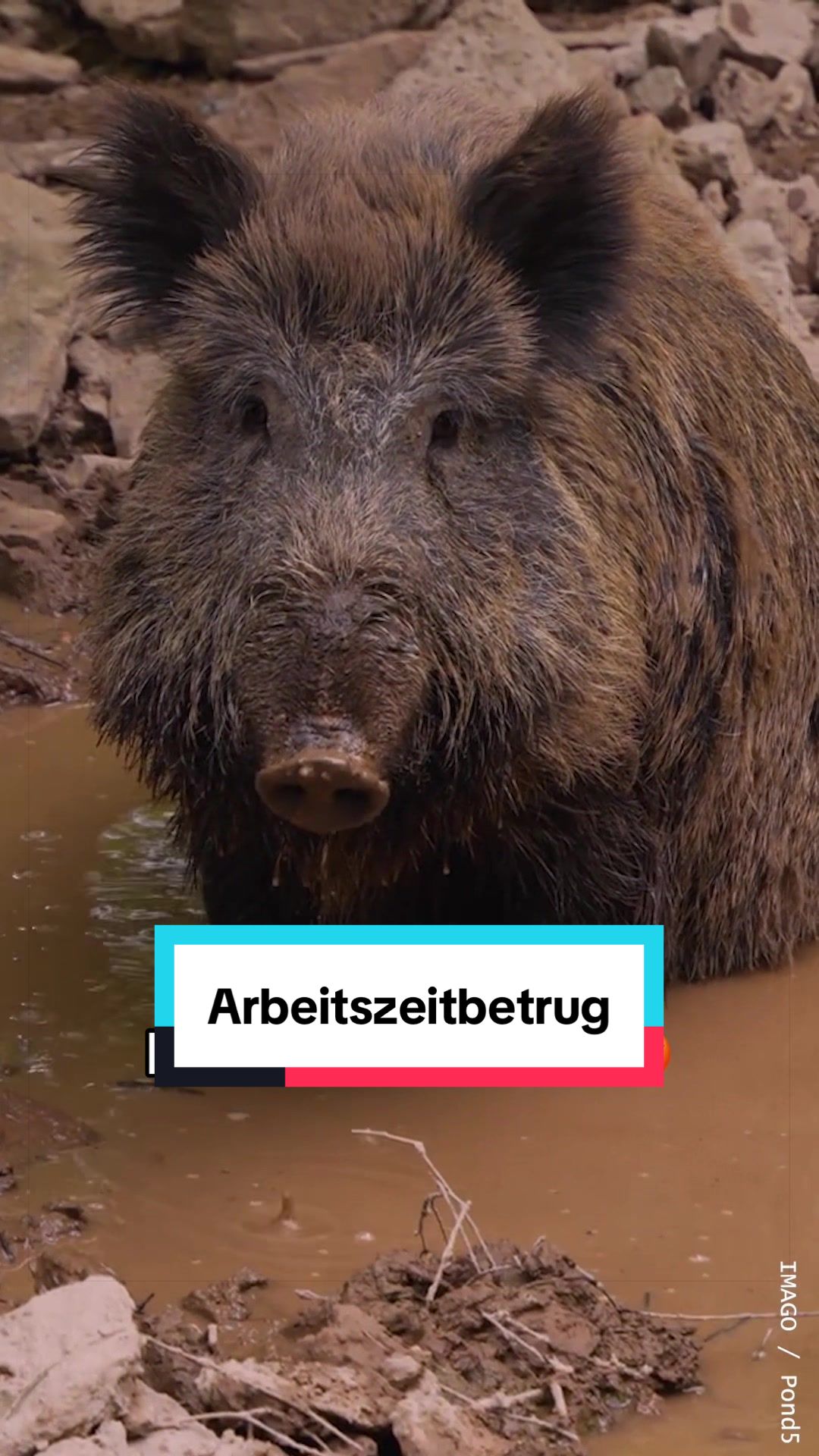 @WWF Schweiz