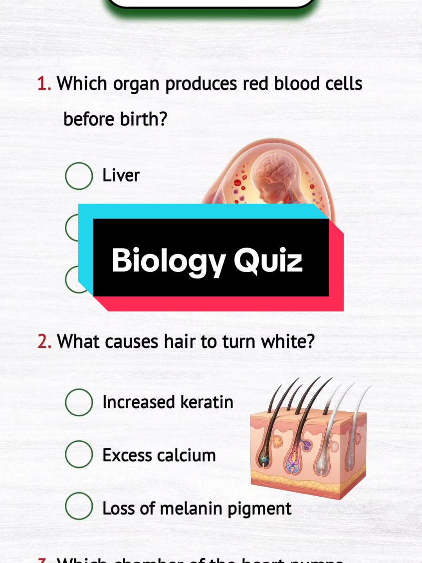 @QUIZ TOK