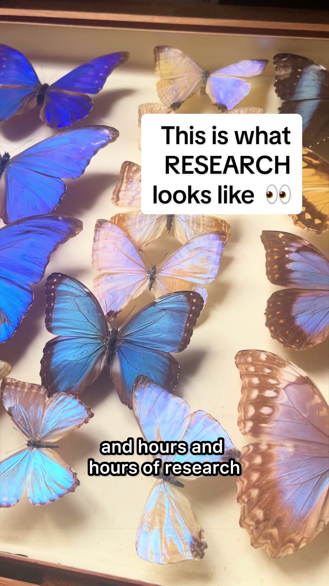 @Natasha Awuku