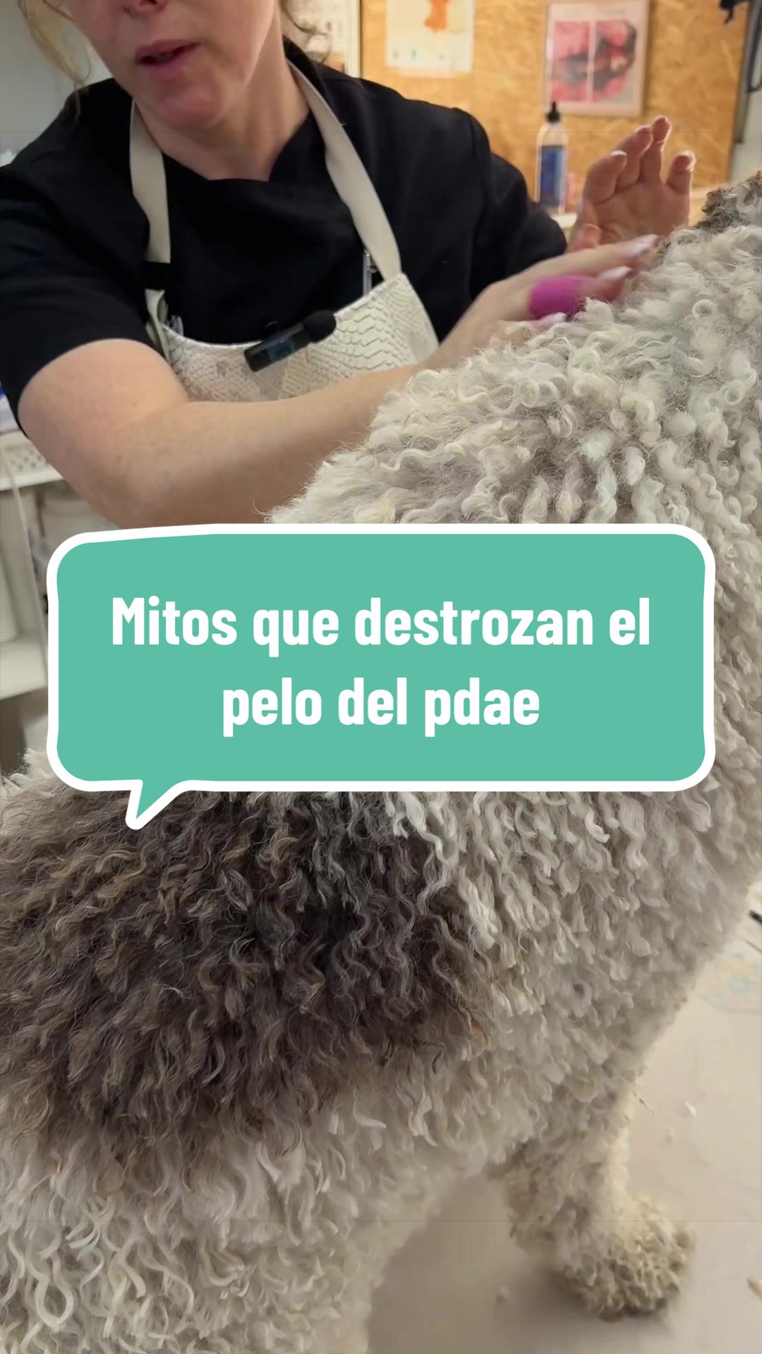 @Lidia L&oacute;pez