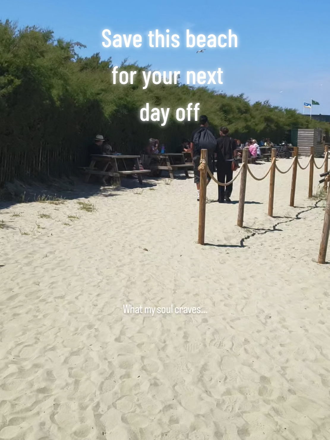 @The Travel Log