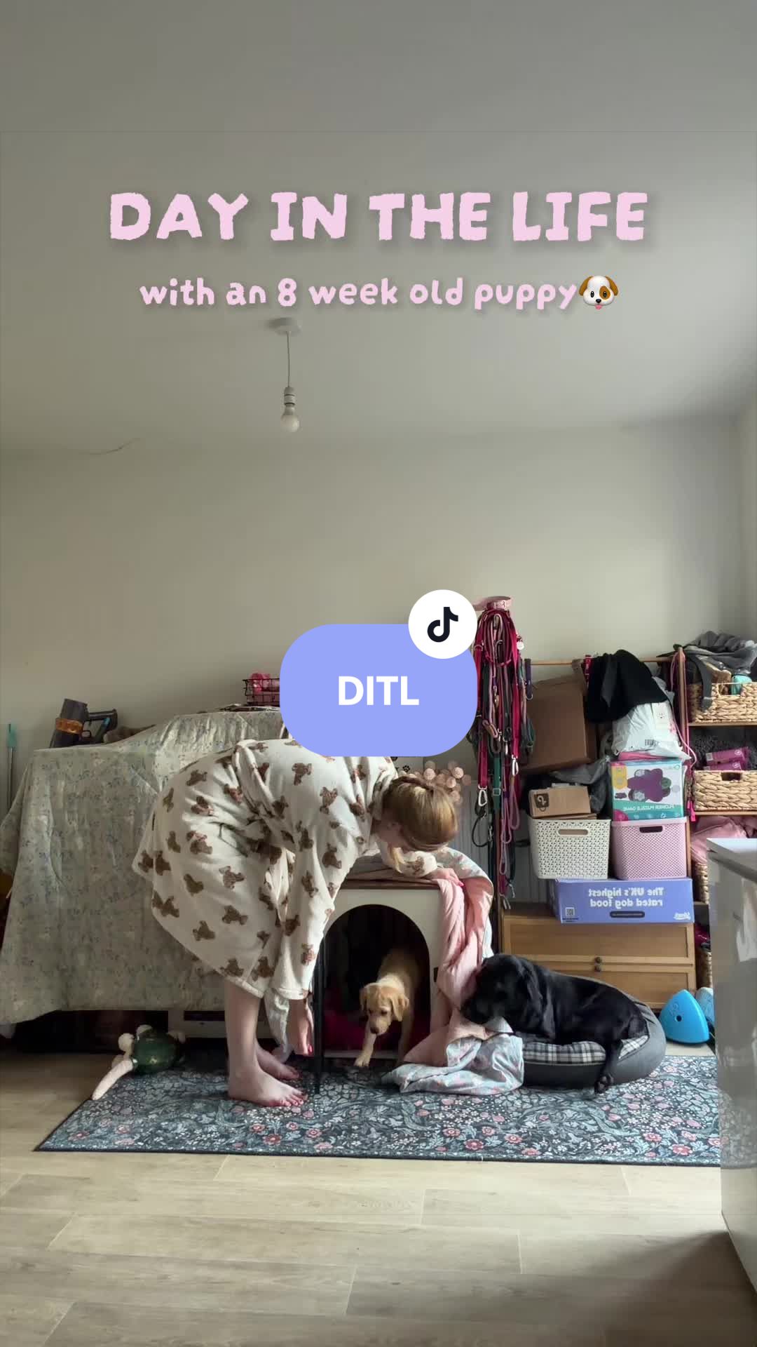 @Lily