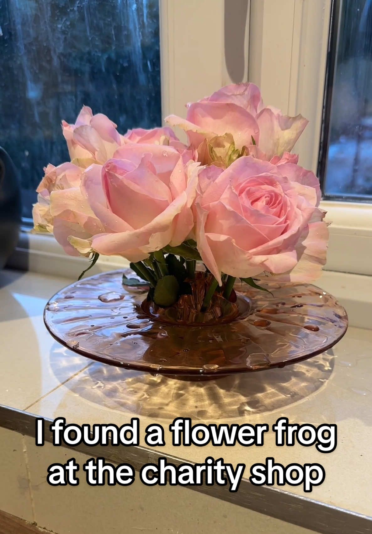 @thedivergentmama
