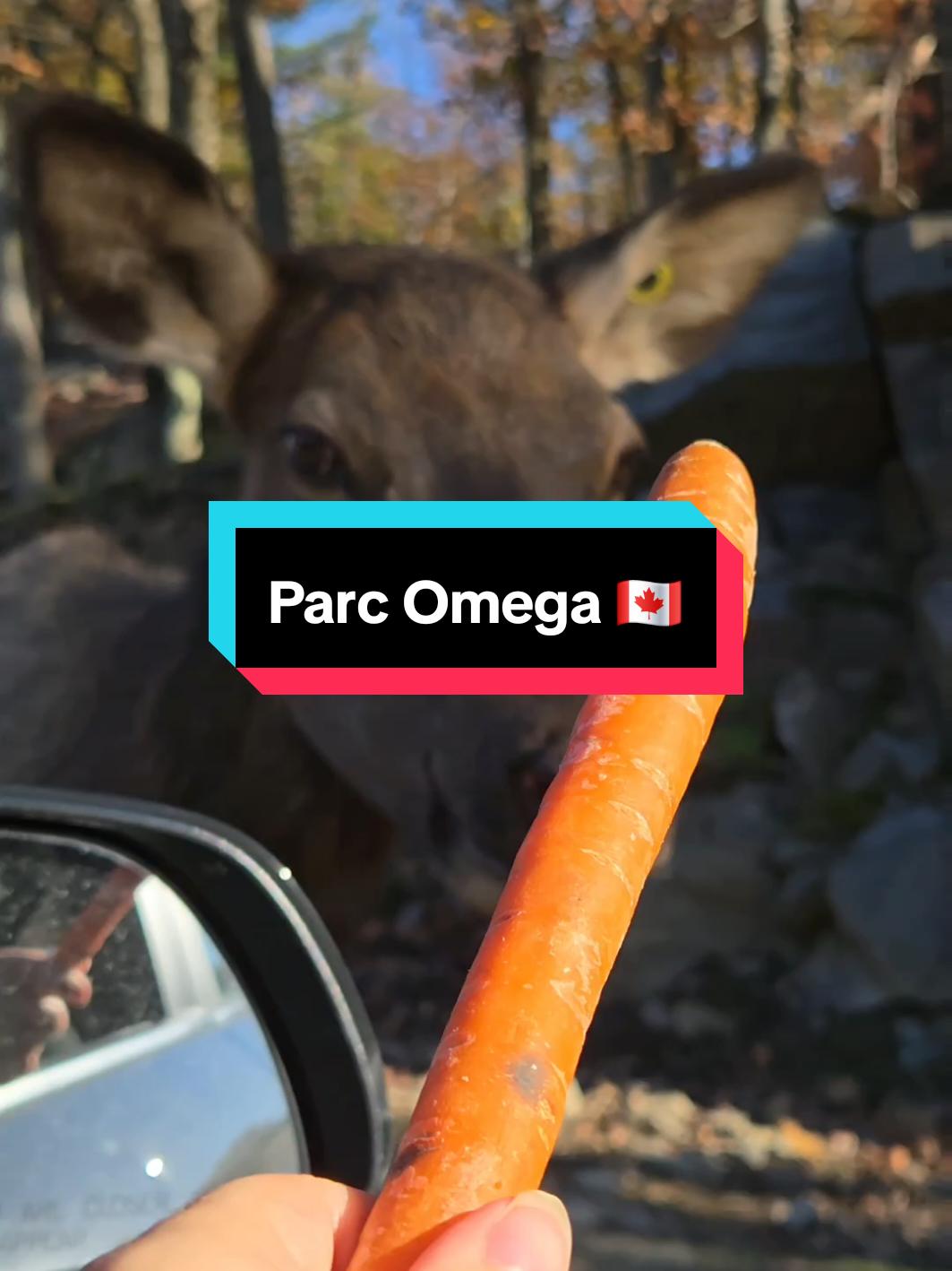 @Lo&iuml;sa.part.au.canada