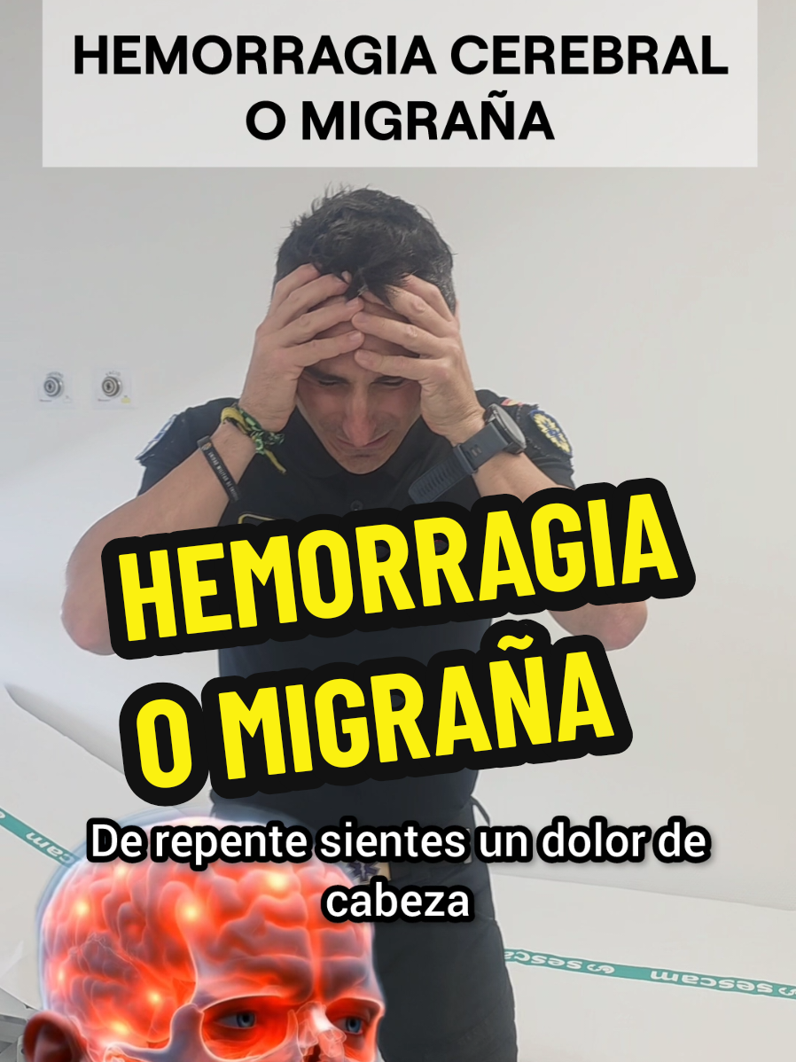 @Miguel ASSAL