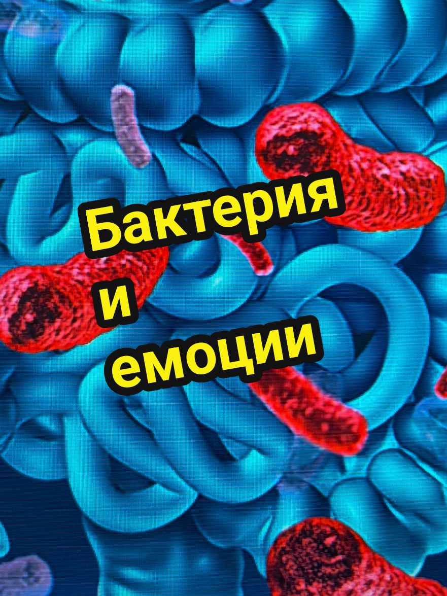 @Valentin B Naumov
