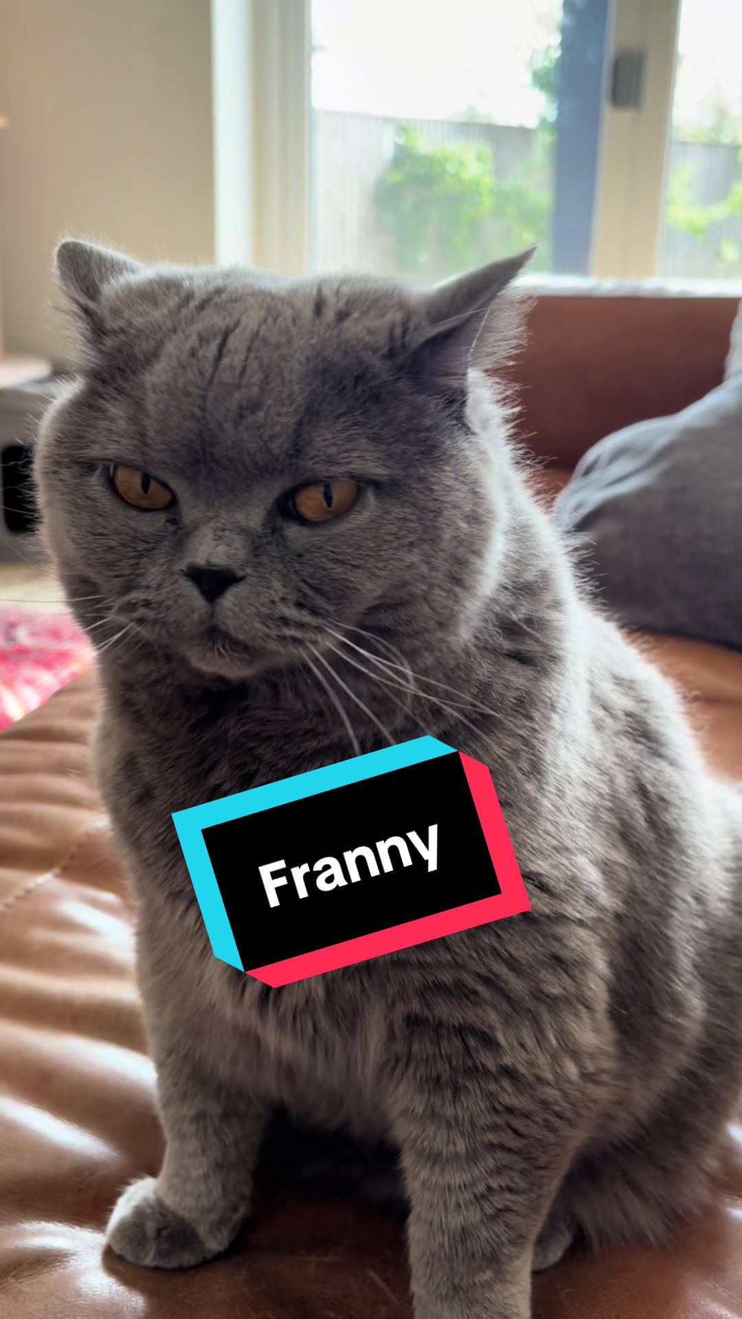 @Franny Zooey