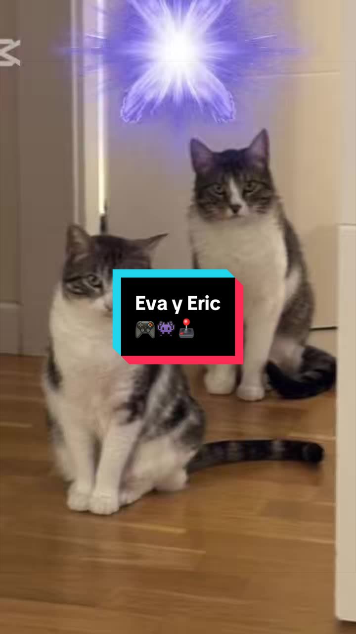 @enGatadas