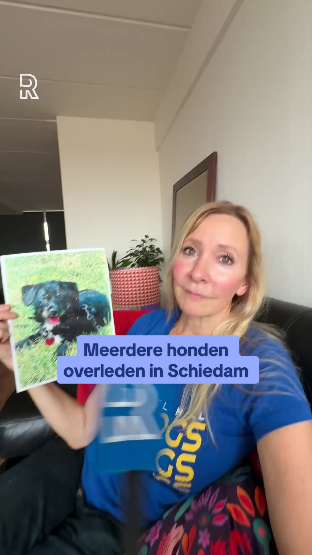 @RIJNMOND
