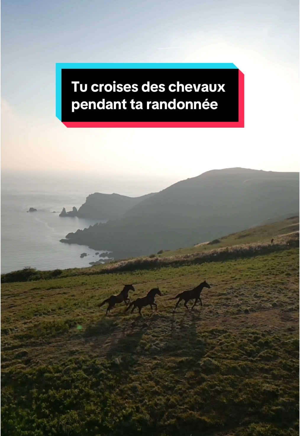 @Nancy Landreat Photographe