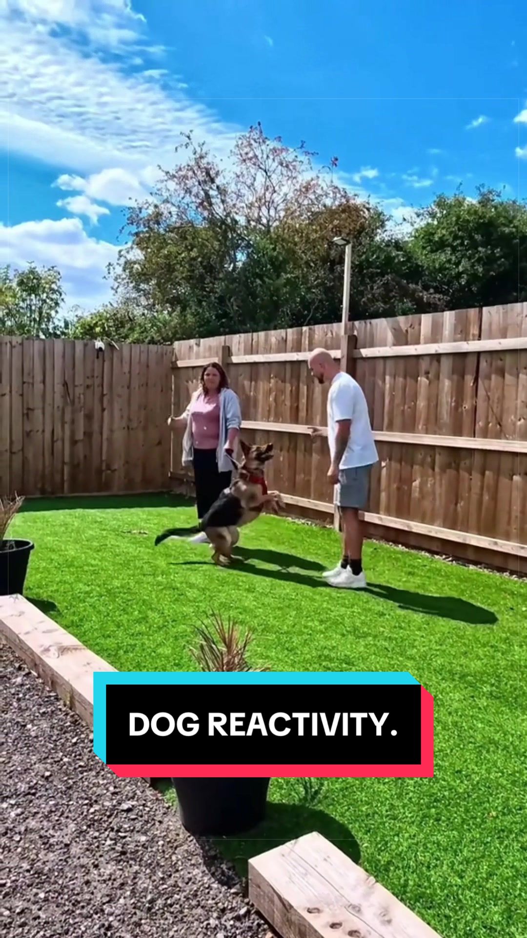 @LeeJonesOfficial Dog Training
