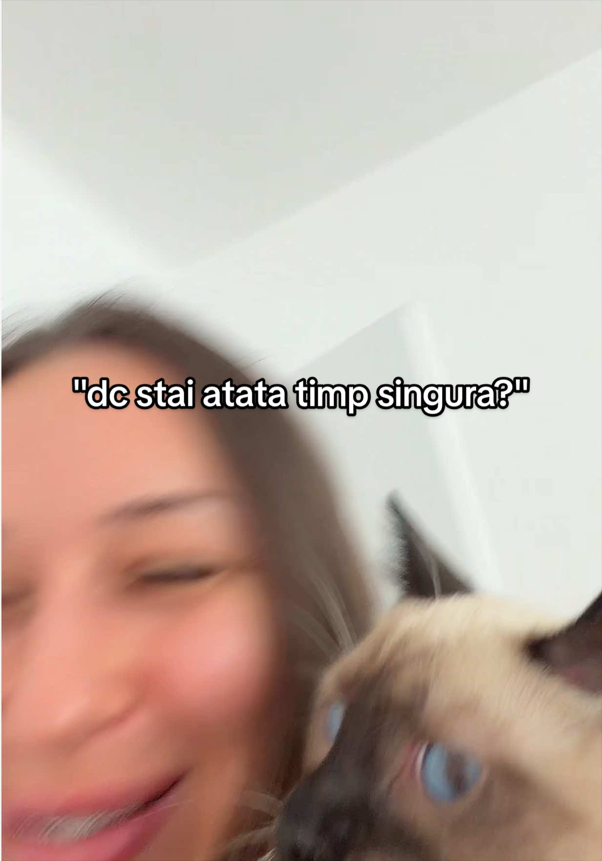 @painecuzacar