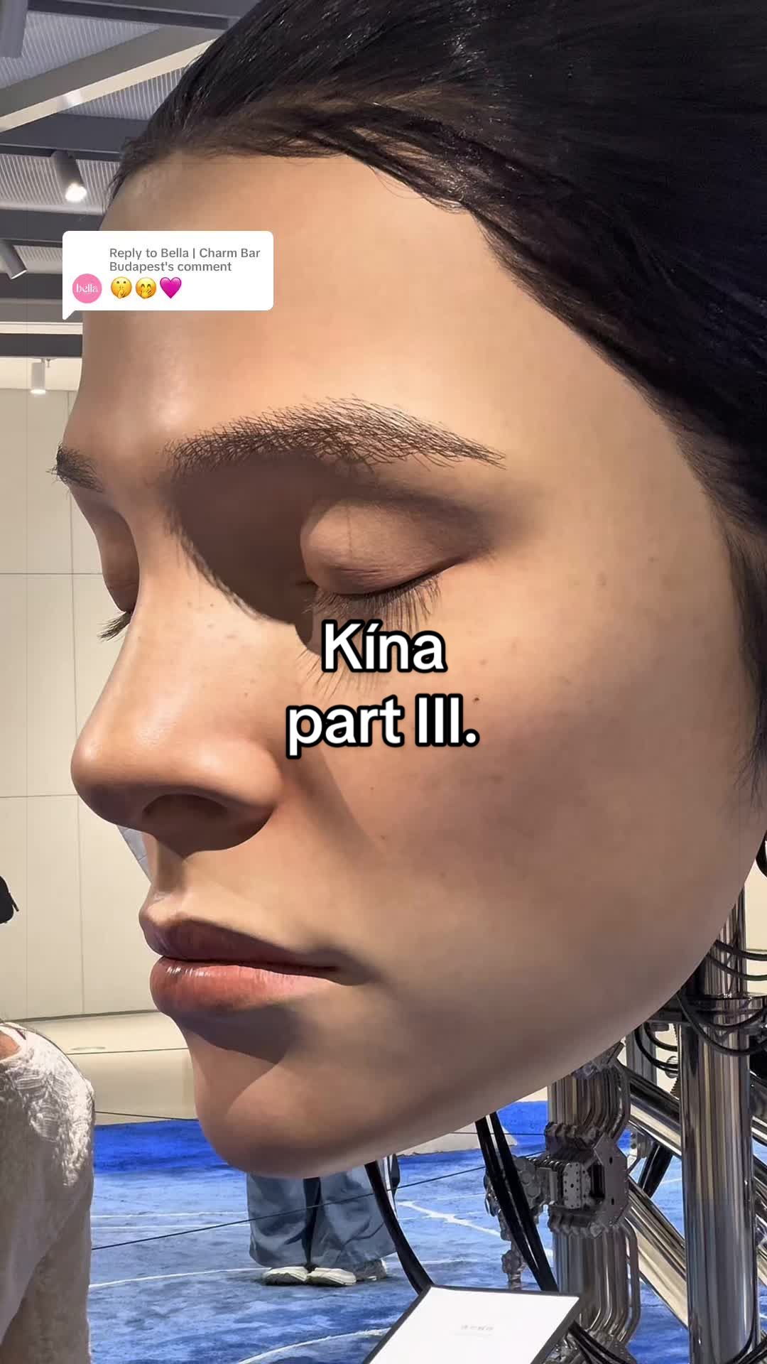 @Temesv&aacute;ri Bogl&aacute;rka