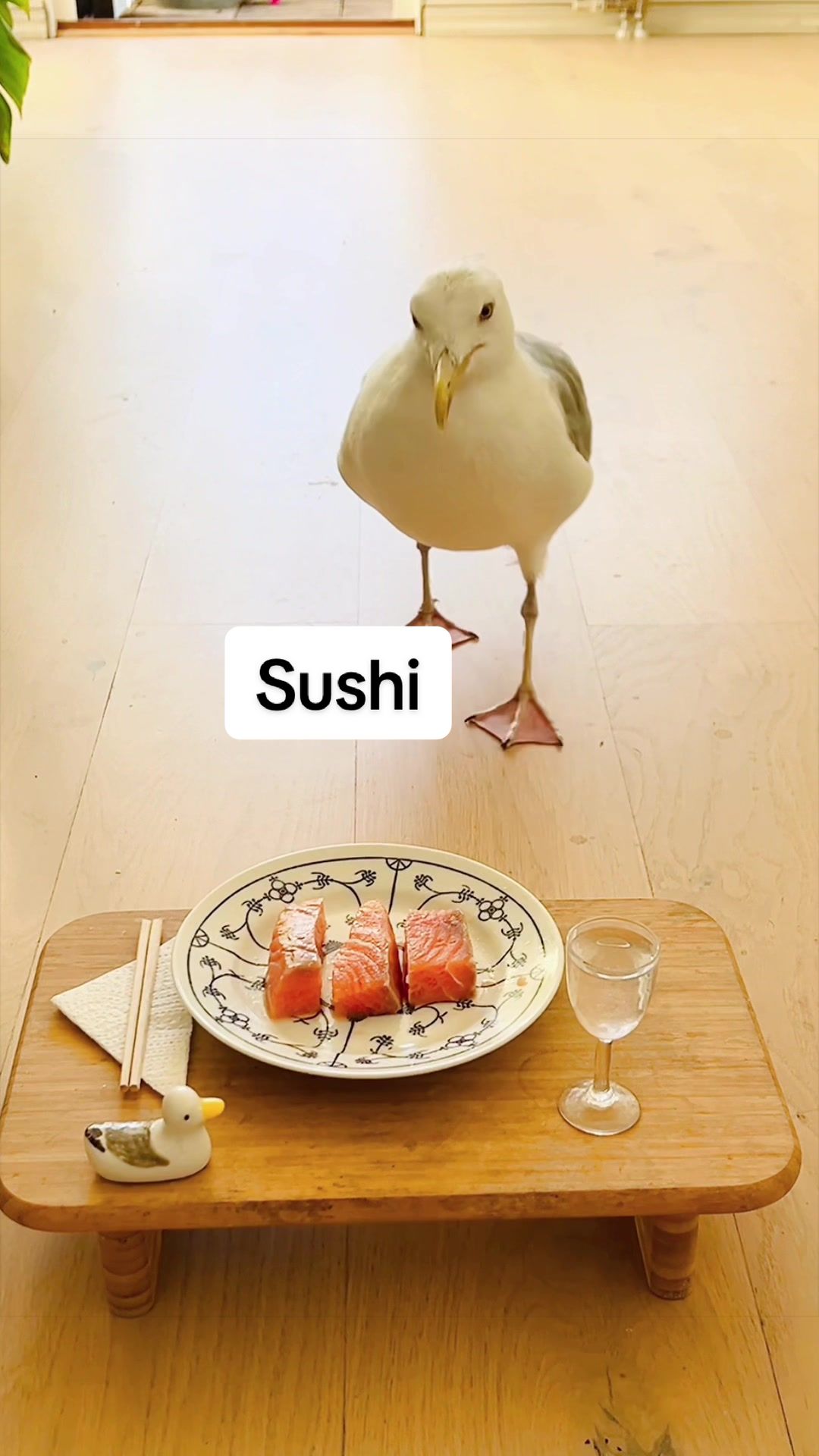@Winston gull