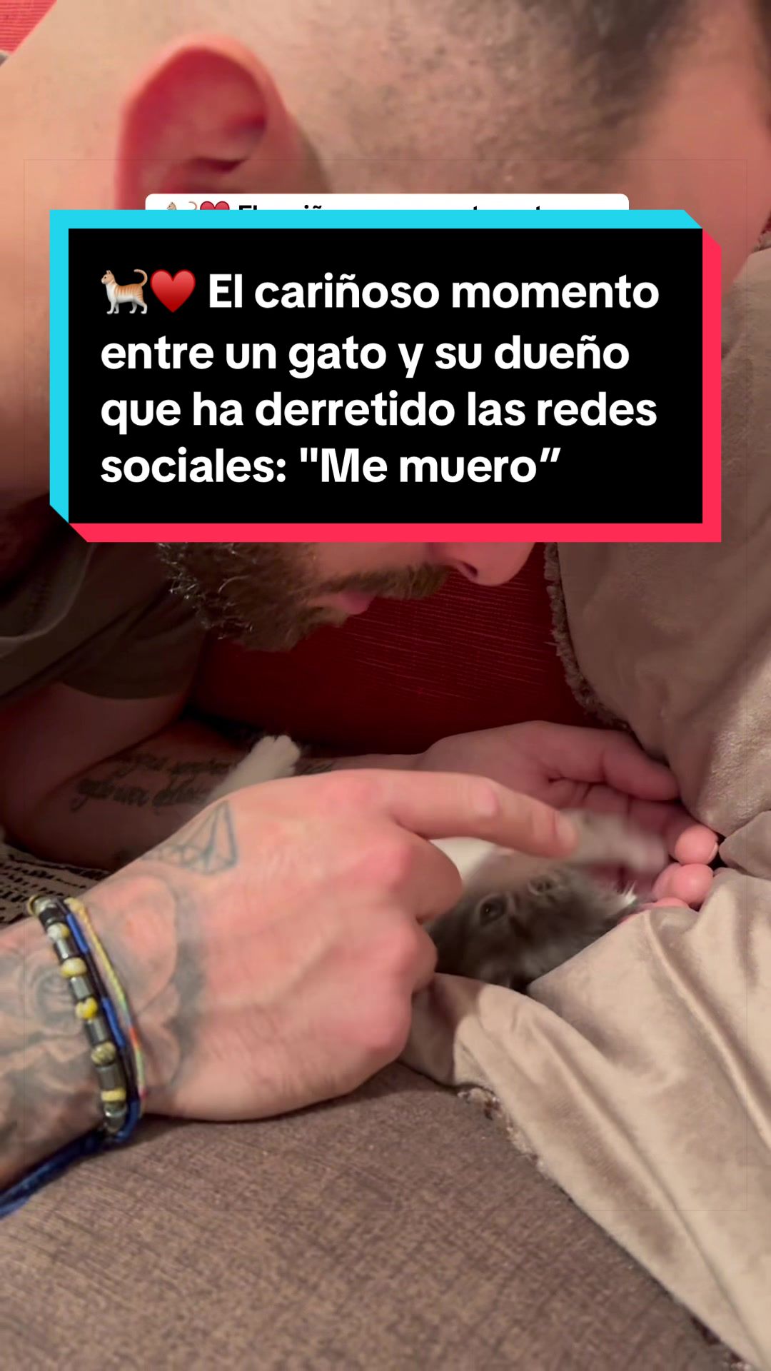 @EL ESPA&Ntilde;OL 🦁
