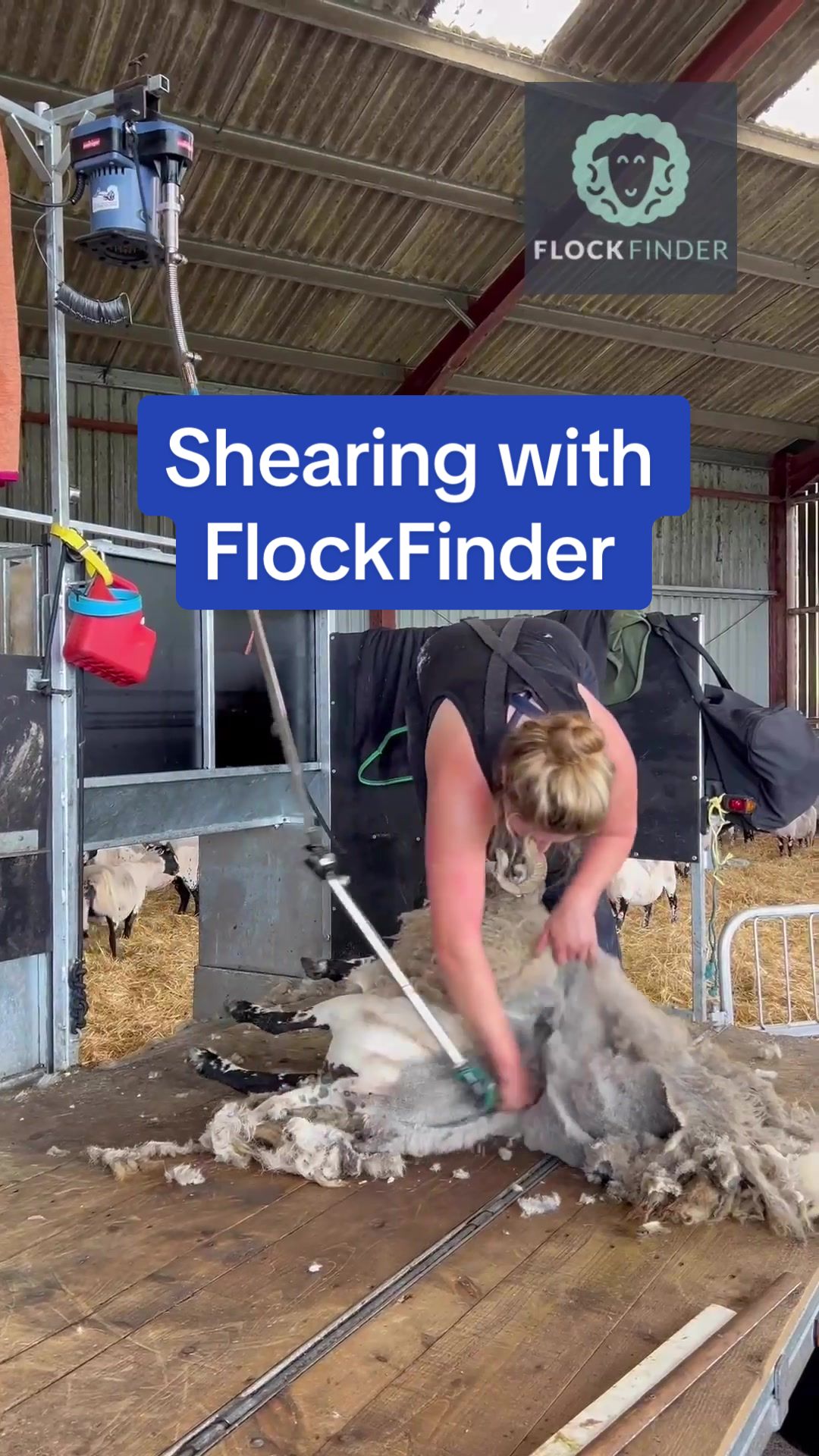 @FlockFinder