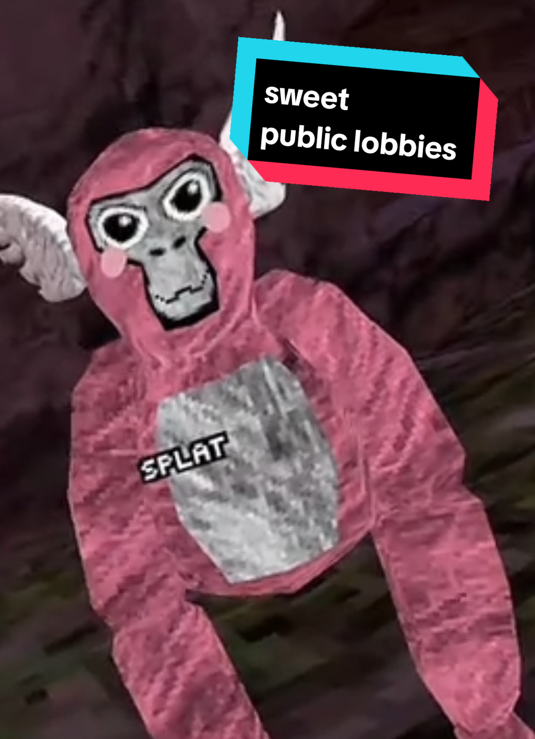 @๐ฌ๐๐๐๐ ๐ฆข๐