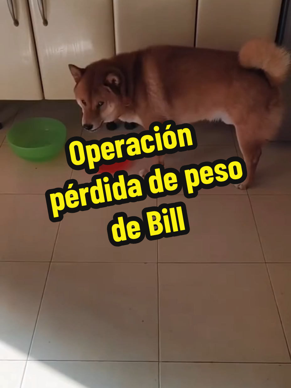 @𝑴𝒊 P𝒂𝒕𝒊𝒐𝒉𝒖𝒆𝒓𝒕𝒐