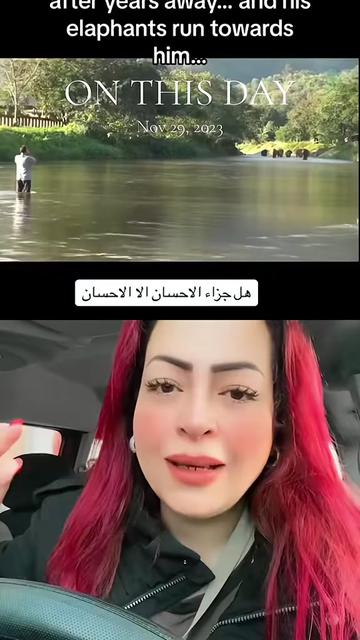 @Rania Raghib - رانيا راغب